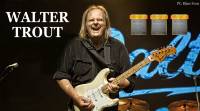 8 Walter Trout live
